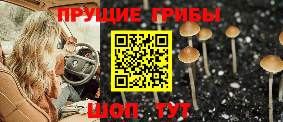 Галлюциногенные грибы GOLDEN TEACHER  Псилоцибиновые грибы мухоморы  Вход с VPN  Кубинка 